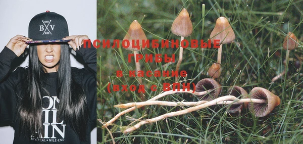 прущий лед Алексин