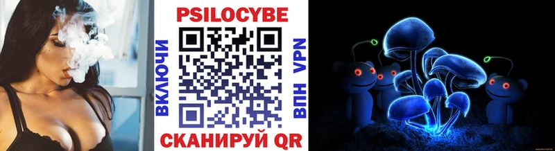 Галлюциногенные грибы Psilocybine cubensis Кукмор